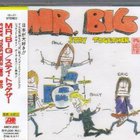 MR. Big - Stay Together (CDS)