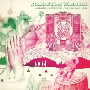 Solid State Warrior