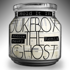 Jukebox the Ghost - Hold It In (CDR)