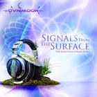Signals From The Surface