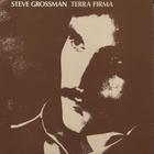 Steve Grossman - Terra Firma (Reissued 2006)