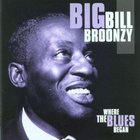Big Bill Broonzy - Where The Blues Began CD1