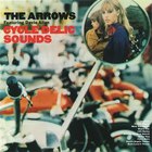 Davie Allan & The Arrows - Cycle-Delic Sounds '68