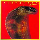 Blackfoot - Strikes (Vinyl)