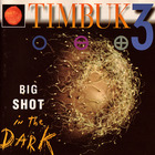 Timbuk 3 - Big Shot In The Dark