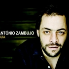 Antonio Zambujo - Guia