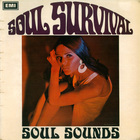 Soul Survival (Vinyl)