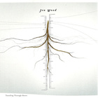Jen Wood - Traveling Through Roots