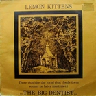 Lemon Kittens - The Big Dentist (Vinyl)