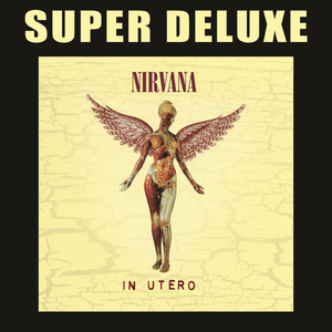 In Utero - 20Th Anniversary Super Deluxe CD3