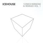 Icehouse - 12 Inch Versions And Remixes Vol. 1 CD2
