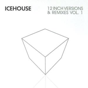 12 Inch Versions And Remixes Vol. 1 CD2