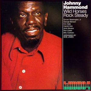 Wild Horses And Steady (40th Anniversary Edition)