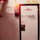 Dr. Dog - B-Room (Deluxe Edition)