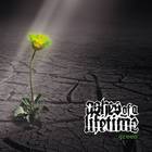 Ashes Of A Lifetime - Green