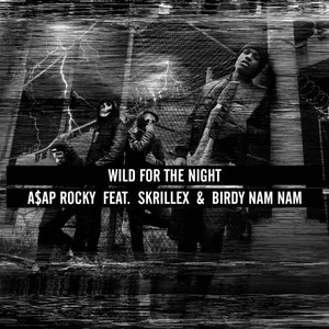 Wild For The Night (Feat. Skrillex) (CDS)