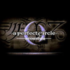 A Perfect Circle - Acoustic Live & Remixes