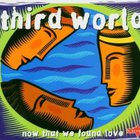 Third World - Now That We've Found Love (VLS)