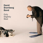 David Bromberg - Only Slightly Mad