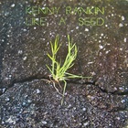 Kenny Rankin - Like A Seed (Vinyl)