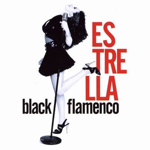 Black Flamenco