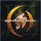 A Perfect Circle - Weak And Powerless (CDS)