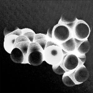 Deadly Structures (With Marshallito)