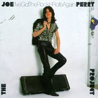 Joe Perry Project - The Essential