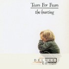 Tears for Fears - The Hurting (Deluxe Edition) CD1