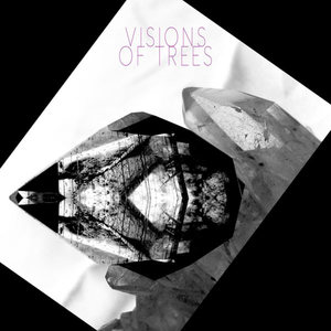 Visions Of Trees