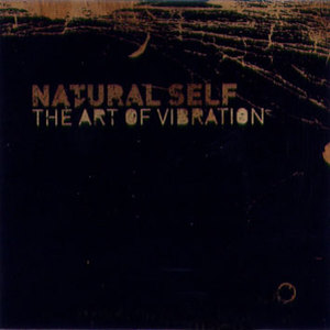 The Art Of Vibration