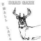 Dead Gaze - Small Lava