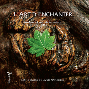 L'art D'enchanter