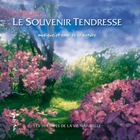 nicolas jeandot - Le Souvenir Tendresse