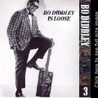 Bo Diddley - The Chess Years 1955-1974, Vol. 03 - Bo Diddley Is Loose CD3