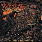 Your Fear Is Our Inhabitancy (CDS)
