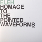 Homage To The Pointed Waveforms (Vinyl)