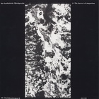 Das Synthetische Mischgewebe - The Harvest Of Magnetism (Vinyl)