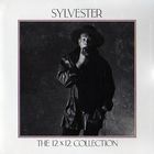 Sylvester - The 12X12 Collection