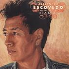 Alejandro Escovedo - With These Hands CD1