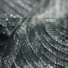Moss - Moss (With Molly Berg, Olivia Block, Steve Roden & Taylor Deupree)