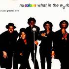 Nu Colours - What In The World (EP)