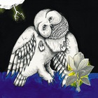Songs: Ohia - The Magnolia Electric Co. (10Th Anniversary Deluxe Edition) CD1