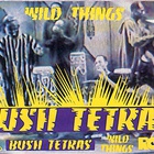 Bush Tetras - Wild Things