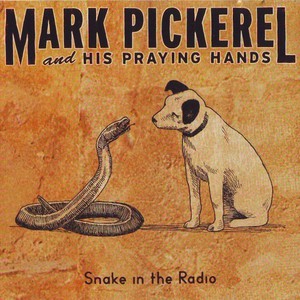 Snake In The Radio