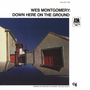 Down Here On The Ground (Vinyl)