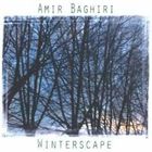 Amir Baghiri - Winterscape