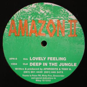 Deep In The Jungle / Lovely Feeling (VLS)