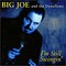 Big Joe & the Dynaflows - I'm Still Swingin'
