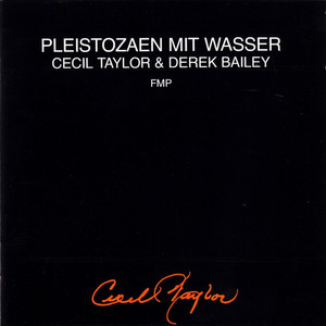 Pleistozaen Mit Wasser (With Derek Bailey)